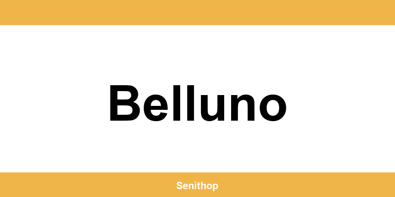 Telefono per contattare il centro UPS di Belluno