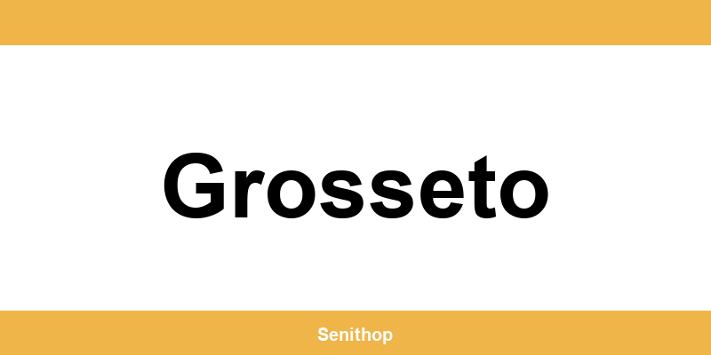 Telefono per contattare il centro UPS di Grosseto