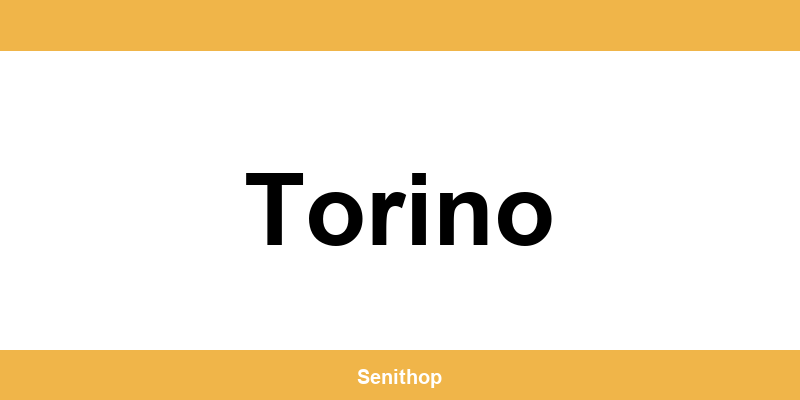 Telefono per contattare il centro UPS di Torino