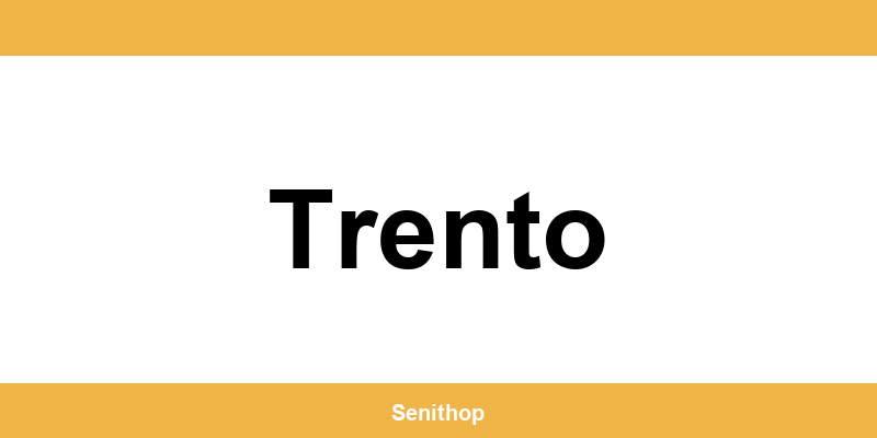 Telefono per contattare il centro UPS di Trento