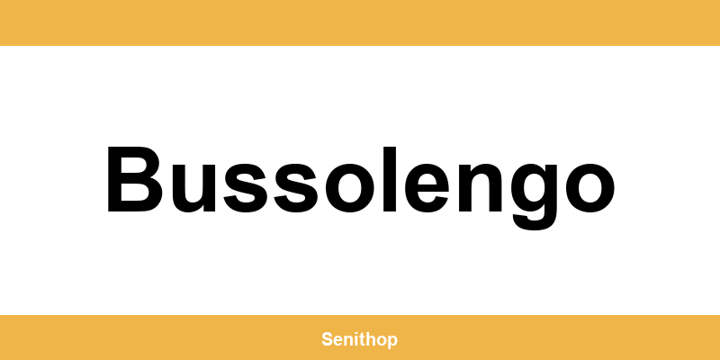 Telefono per contattare il centro UPS di Bussolengo