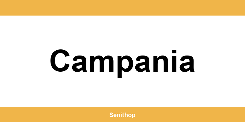 Telefono per contattare il centro UPS di Campania