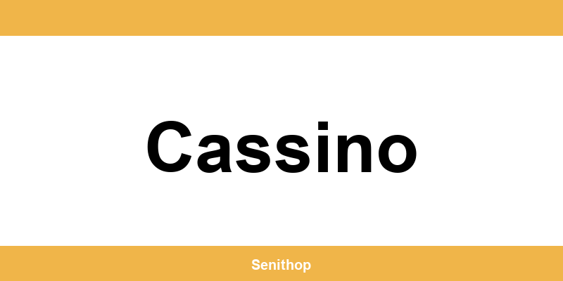 Telefono per contattare il centro UPS di Cassino