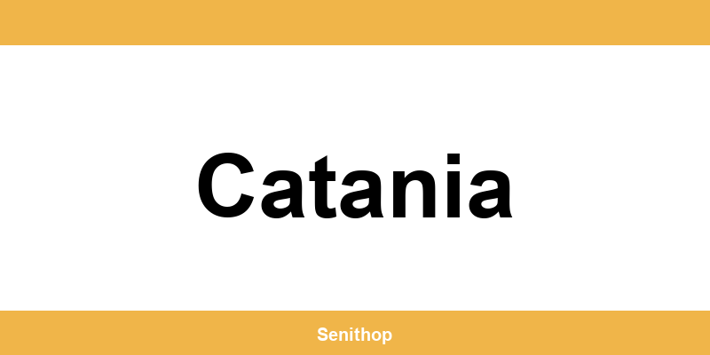 Telefono per contattare il centro UPS di Catania