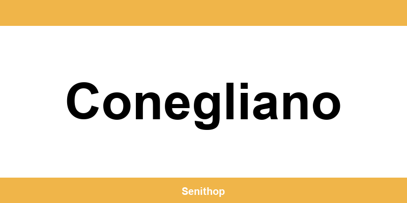 Telefono per contattare il centro UPS di Conegliano