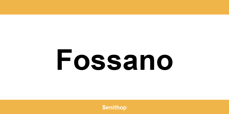 Telefono per contattare il centro UPS di Fossano