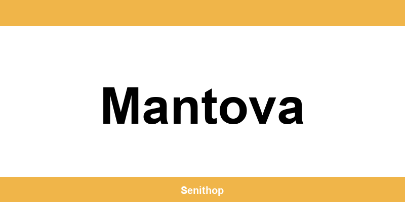 Telefono per contattare il centro UPS di Mantova
