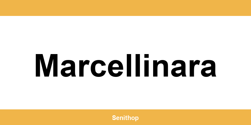 Telefono per contattare il centro UPS di Marcellinara