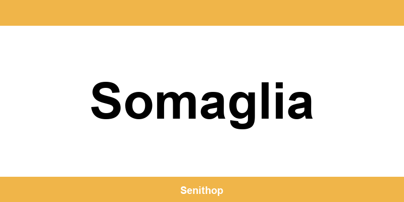 Telefono per contattare il centro UPS di Somaglia