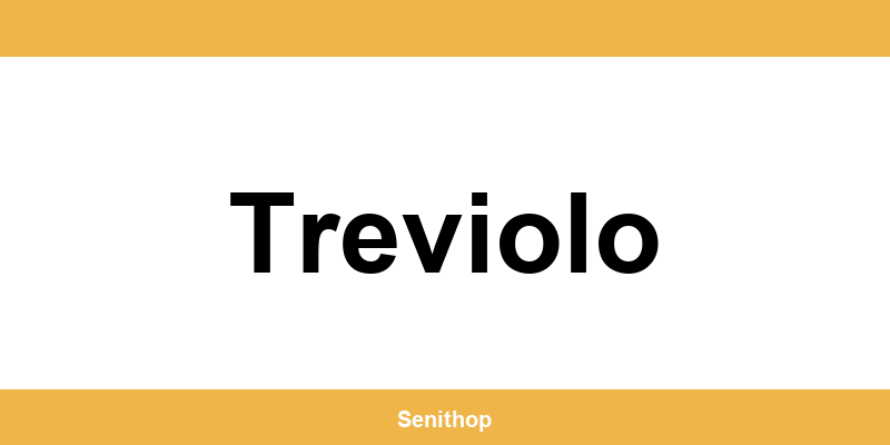 Telefono per contattare il centro UPS di Treviolo