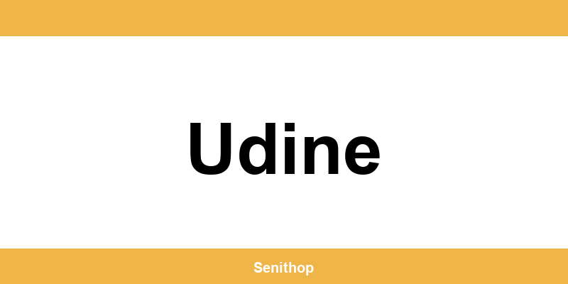 Telefono per contattare il centro UPS di Udine